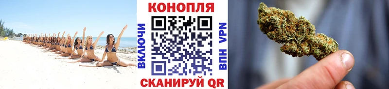 Бошки Шишки SATIVA & INDICA  Александровское 